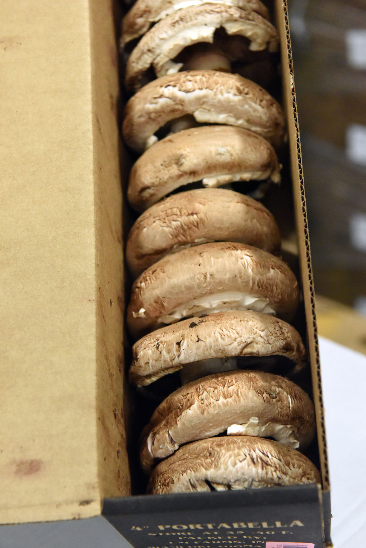 Freshness key for state's largest mushroom farm Business News