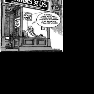 David Simpson Cartoon: Organs 'R Us