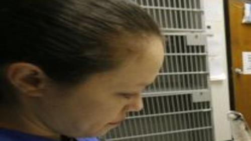Veterinarians Taking Their Spay And Neuter Show On The Road To