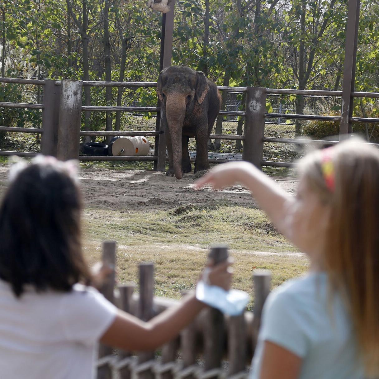 Image Of The Day Philadelphia Zoo Animals Pictures Of The Week