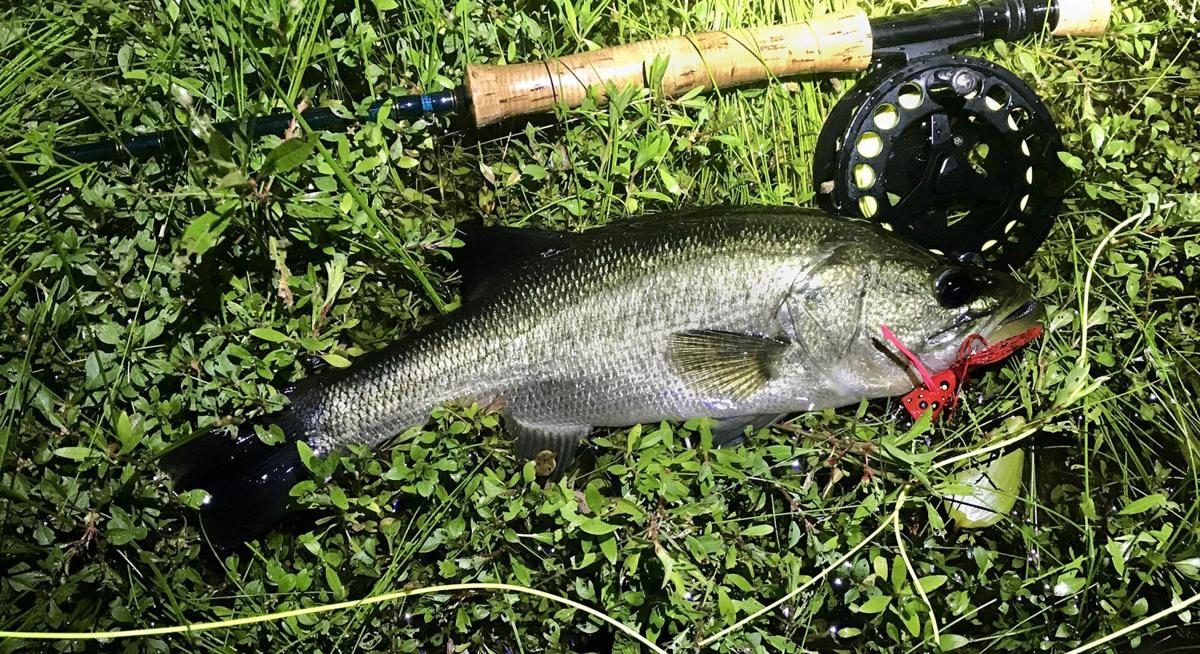 Kelly Bostian: Challenge to get the nighttime surface fly-fishing bite is  worth getting bugged (copy)
