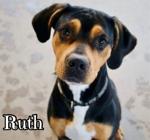 Ruth