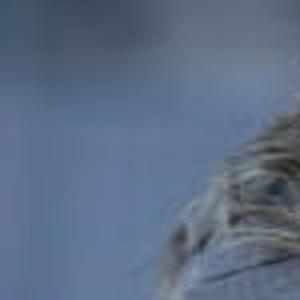 Faces At The Ballpark Nicole Boyd Drillers Tulsaworld Com