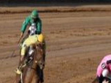 Tulsa Fair Meadows Could Lose Live Horse Racing Politics Tulsaworld Com