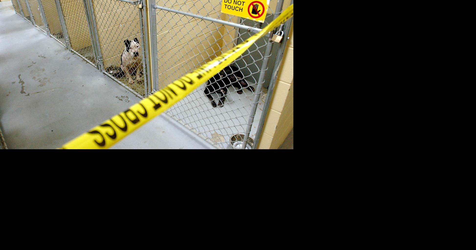 Former NFL running back sentenced to federal prison in dog fighting case