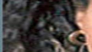 Christian Singles Find Hope In Writer S Advice Archive Tulsaworld Com