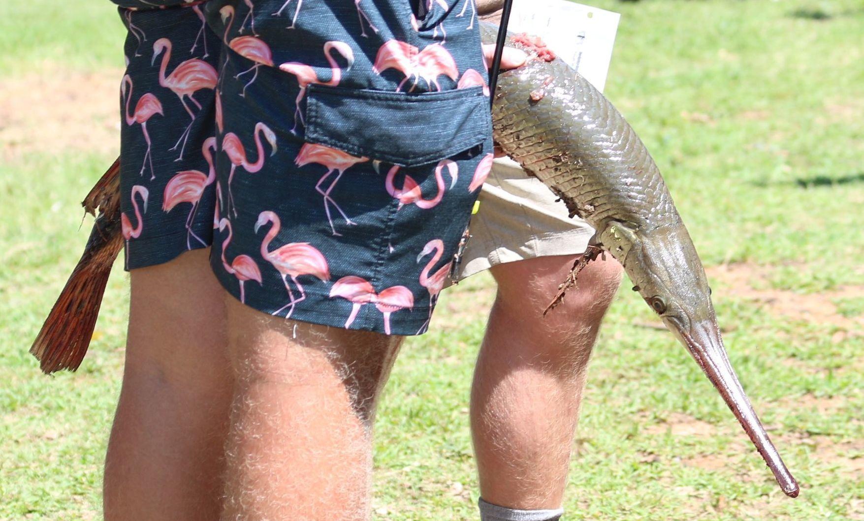 Gallery Scenes from the 16th Annual Youth World Bowfishing