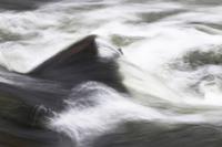 Beavers Bend State Park