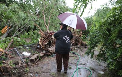 City Will Have Free Green Waste Pick Up In Storm Damaged Areas Of
