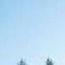 Fairy Rings Are Stubborn Home Garden Tulsaworld Com