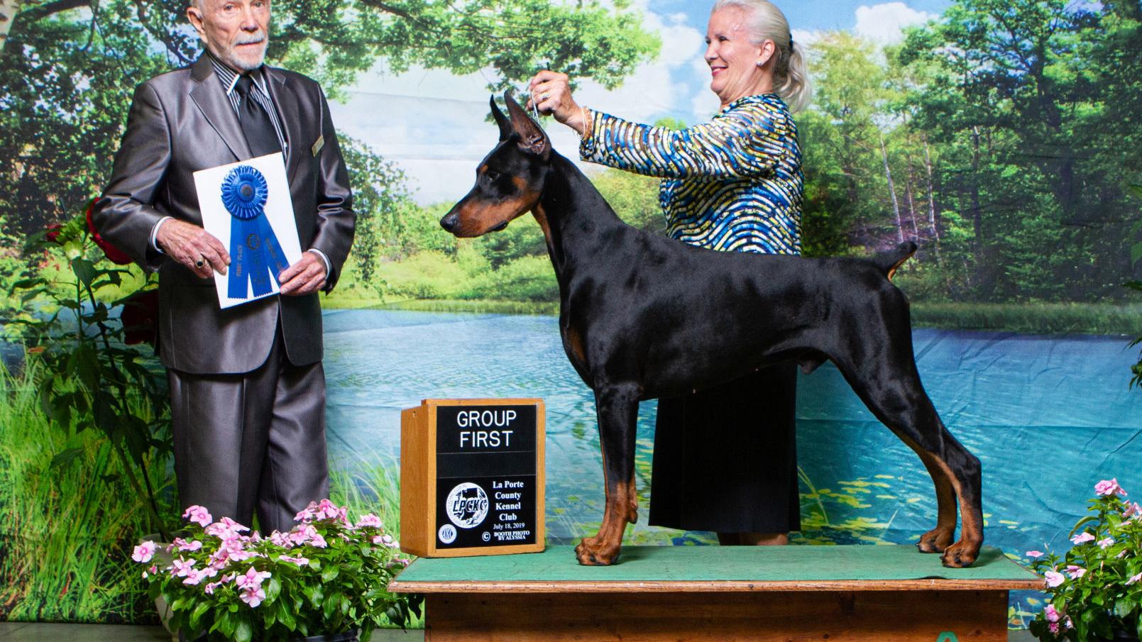 Mid Continent Kennel Club All Breed Dog Show Celebrates 99th Year At Expo Square Entertainment Tulsaworld Com 2022 Isoc Championship Pinchner