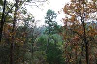 Beavers Bend State Park
