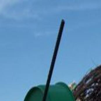 Christmas Tree Growers Survive Drought Boast Good Selections Business News Tulsaworld Com