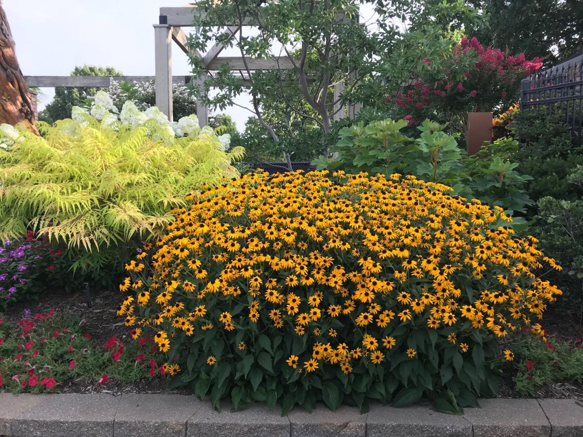 Barry Fugatt Perennials Are Addictive Like Potato Chips You Can T Stop With Just One Home Garden Tulsaworld Com Barry Fugatt Perennials Are Addictive Like Potato Chips You Can T Stop With Just One Home Garden Tulsaworld Com