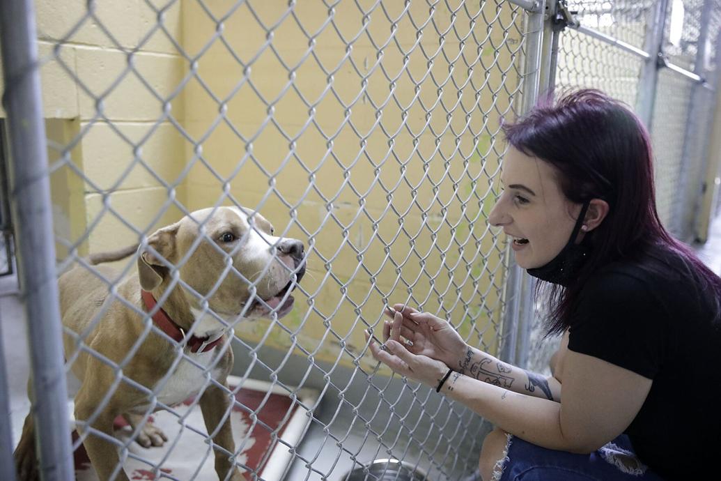 New Tulsa Animal Welfare manager will bring leadership experience