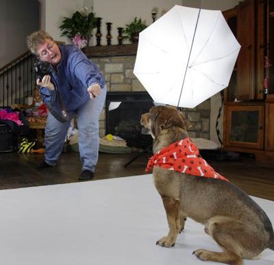 Bartlesville Woman S Pet Photography Helps Animal Shelters State And Regional News Tulsaworld Com
