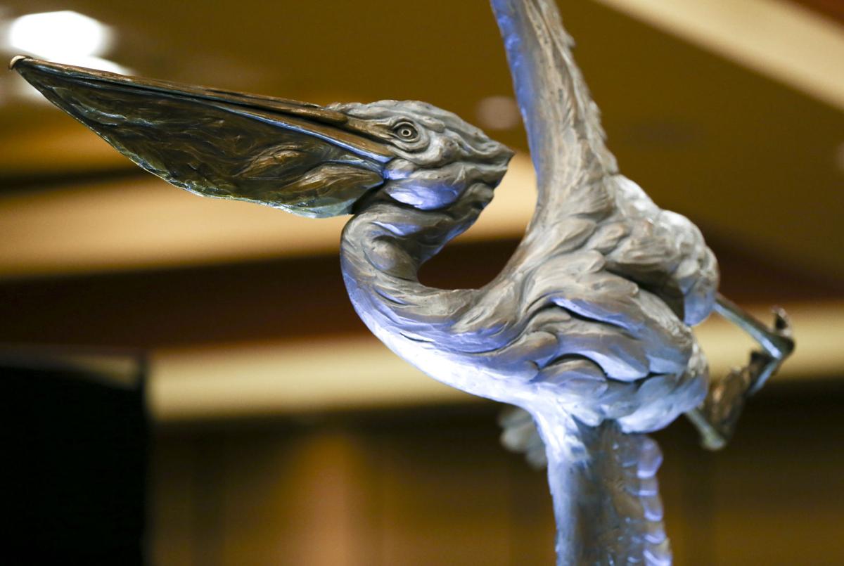 John Klein: NatureWorks bringing American white pelican ...