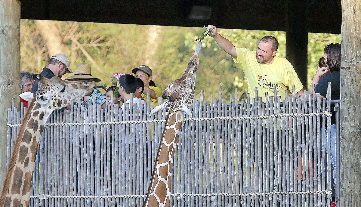 Zoo to expand giraffe barn, add animals with 1 million Osage Casino