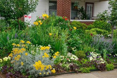 Master Gardener Annual Sale To Feature Plants Seen In Gathering