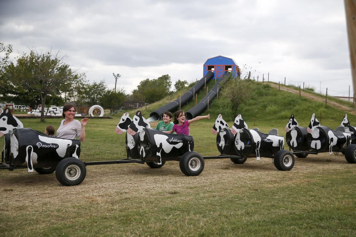 Halloween season Find out what's new at Pumpkin Town Farms and other