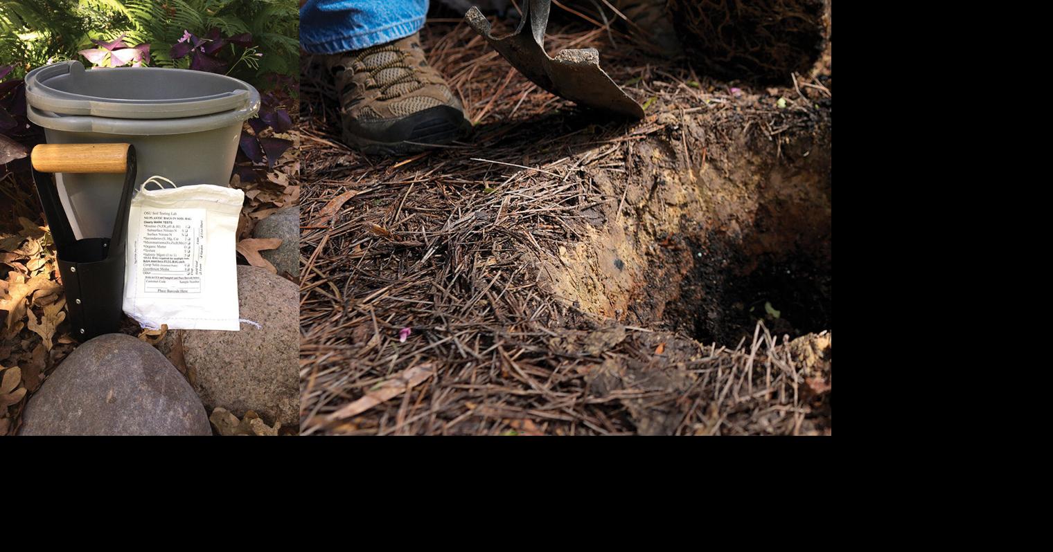 Test soil now to adjust nutrients in time for next growing season
