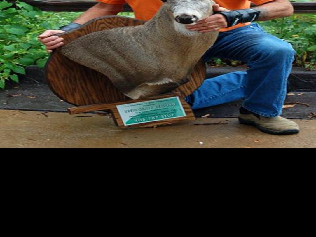 Gallery Oklahoma S Biggest Cy Curtis Record Book Bucks Archive Tulsaworld Com