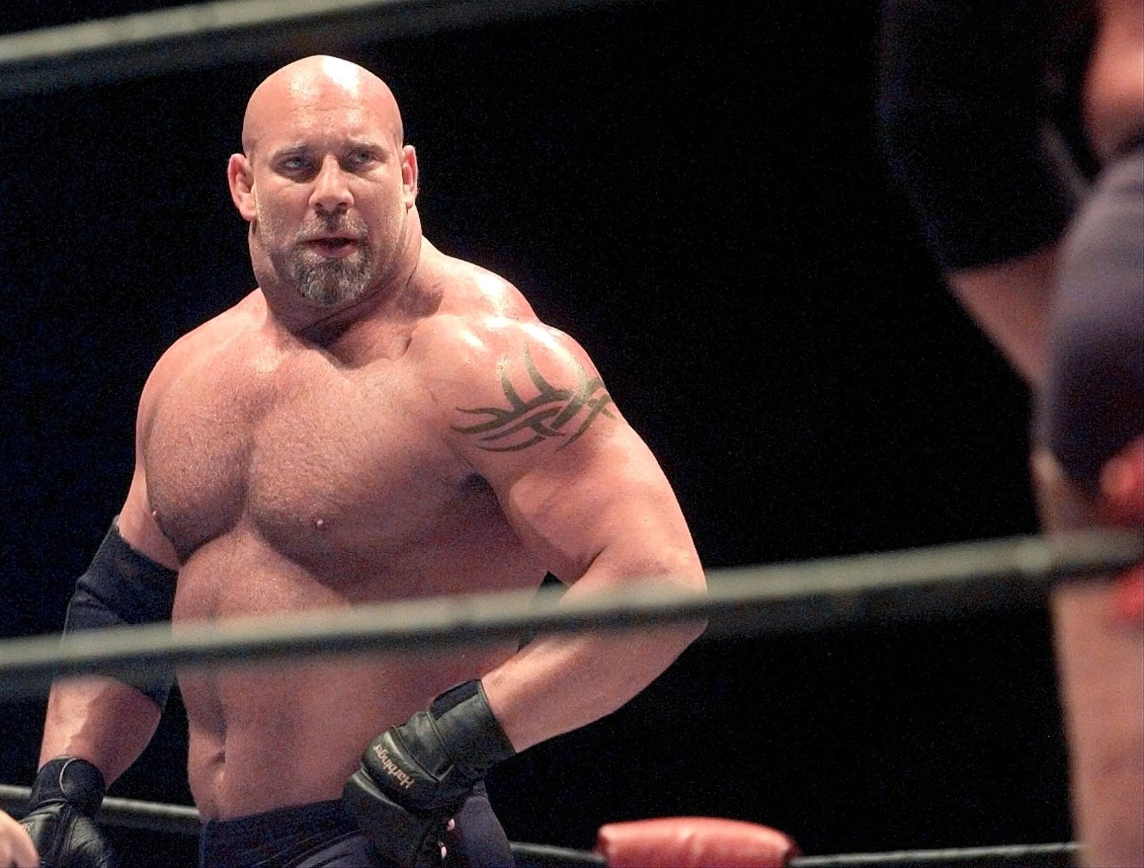 Bill Goldberg body Bill Goldberg body