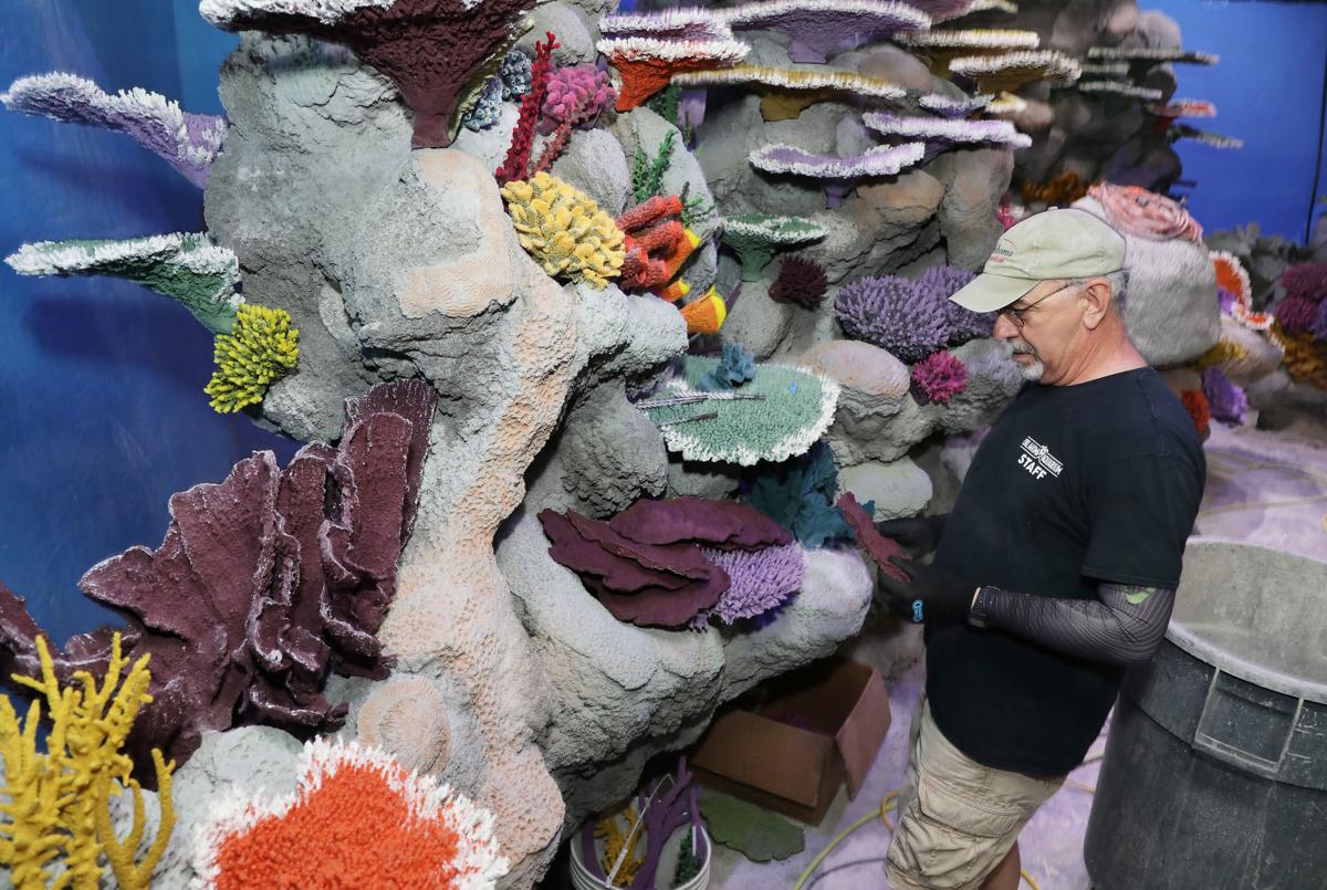 jenks aquarium to add 500