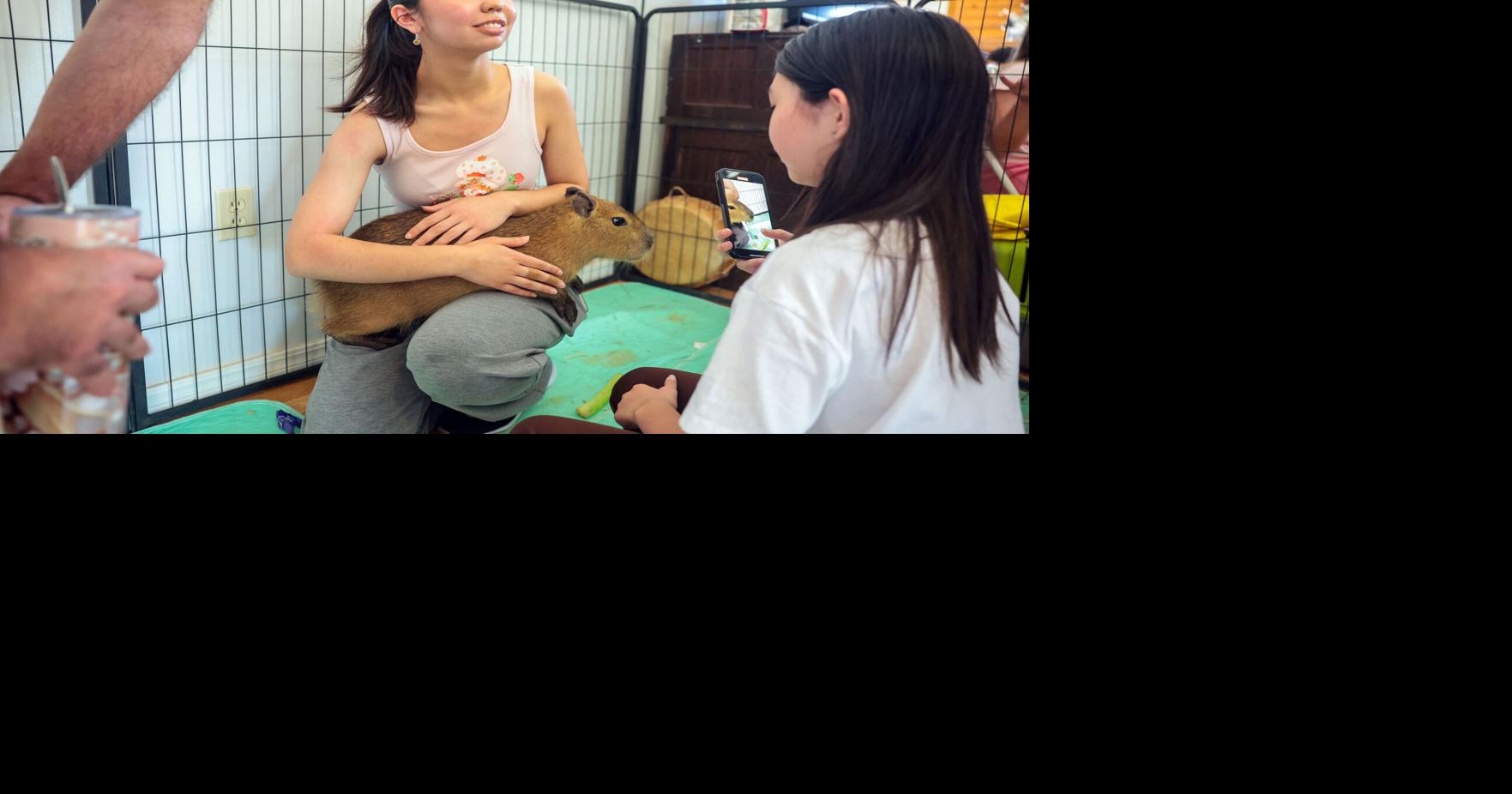 Long Tail Farm hosts Camp Capybara