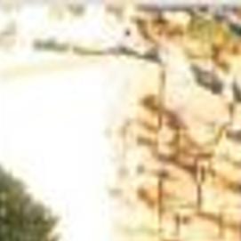 Foster Care Adoption Helps Older Children Find Homes Archive Tulsaworld Com