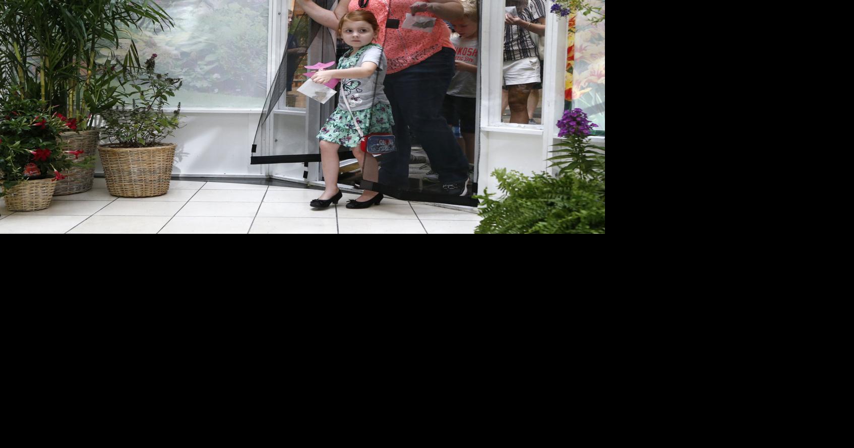 Photo gallery Butterfly exhibit opens at Woodland Hills Mall