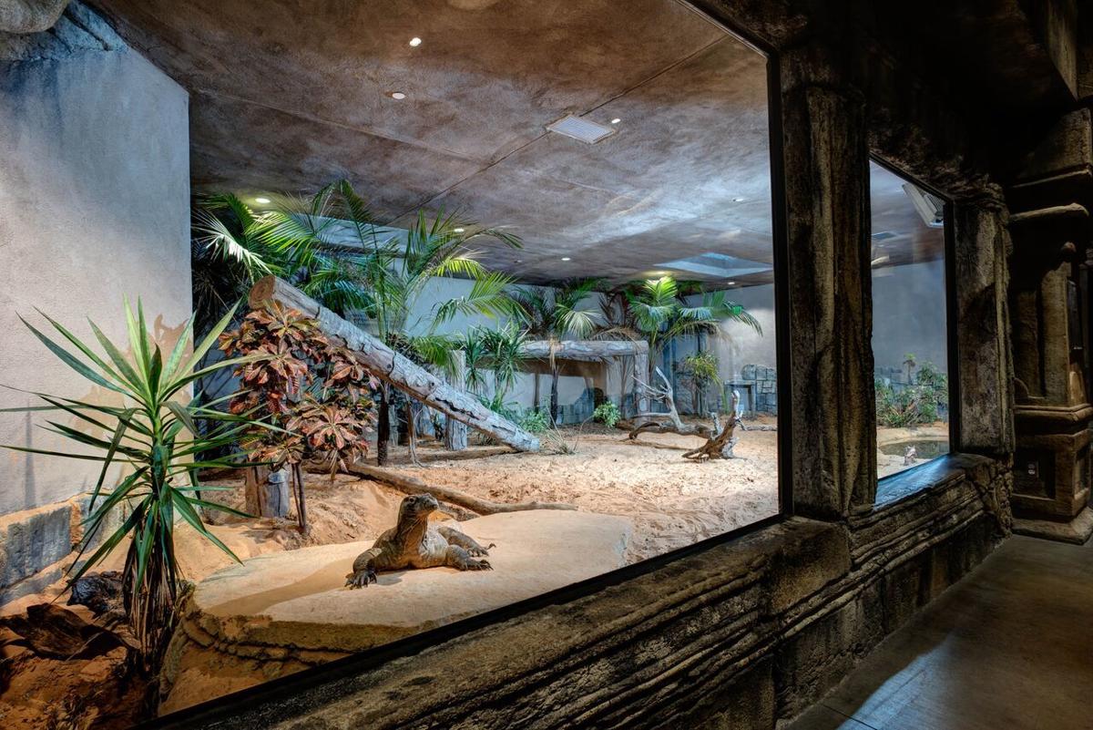 How does the Tulsa Zoo create worldclass exhibits? Sponsoredcontent