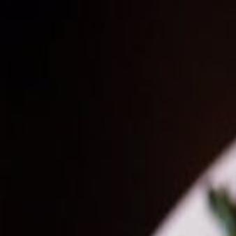 Review Four Stars For Michael V S Dining Tulsaworld Com