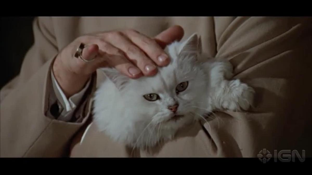 A Purr Fect Collection Of Favorite Movie Cats Movies