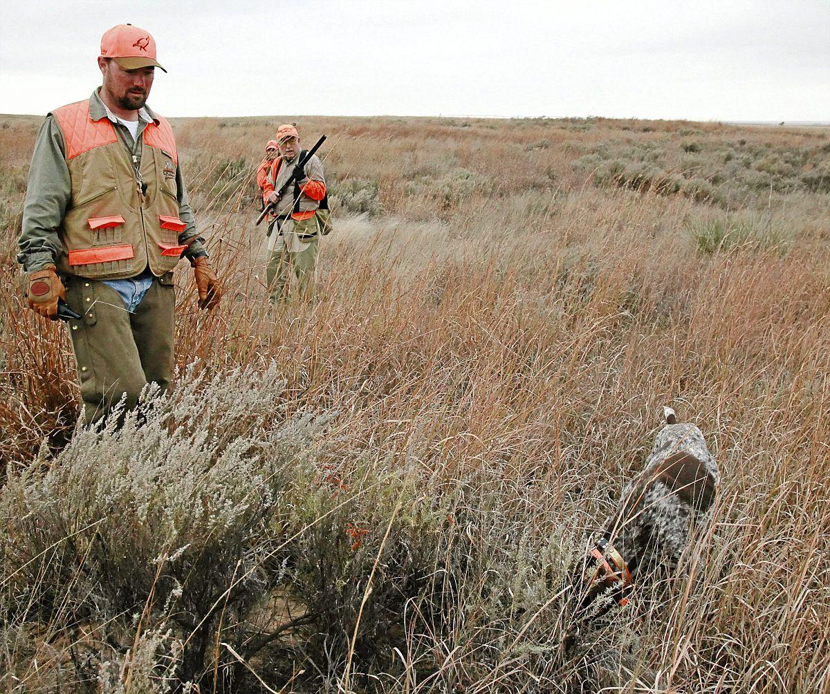 Kelly Bostian Oklahoma quail hunting 'just like the good old days