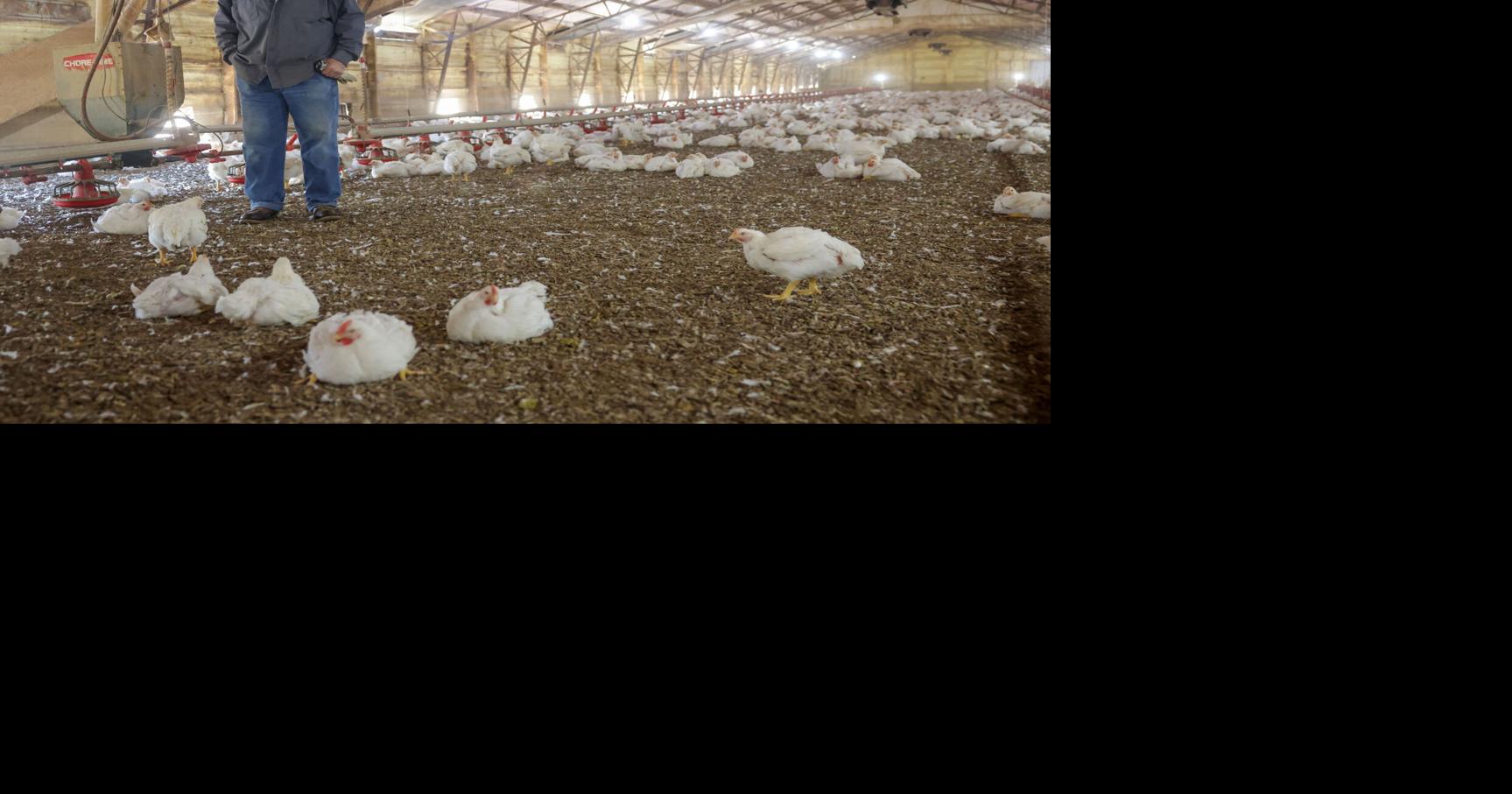 Oklahoma meat processors outline impact of government shutdown on their operations