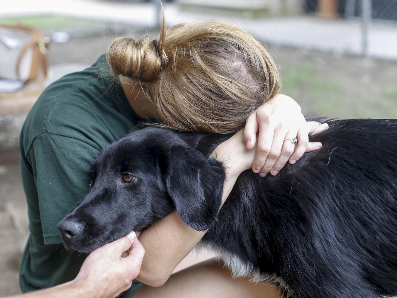 Ginnie Graham Kittens And Puppies Flooding Into Tulsa S Animal Shelter As Reforms Take Hold Columnists Tulsaworld Com Ginnie Graham Kittens And Puppies Flooding Into Tulsa S Animal Shelter As Reforms Take Hold Columnists Tulsaworld Com