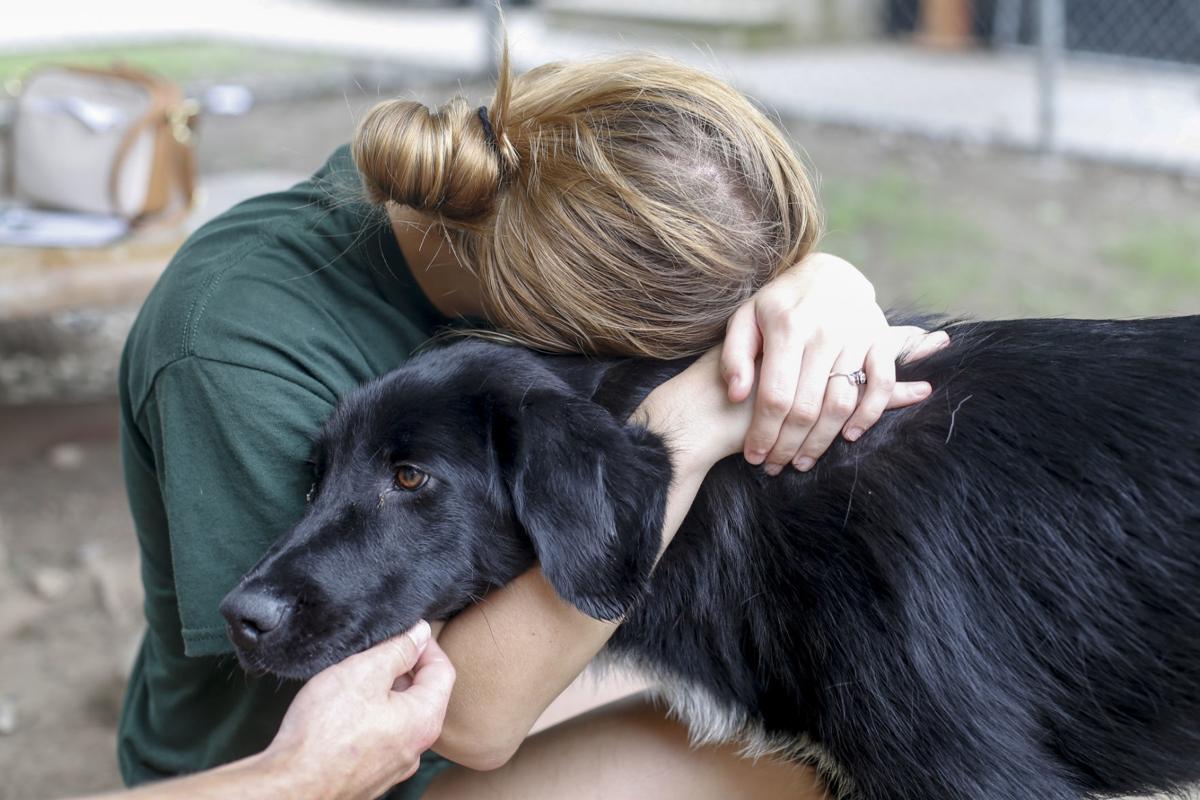 Animal Welfare shelter