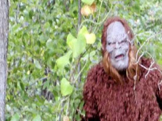 Honobia Bigfoot Festival 2022