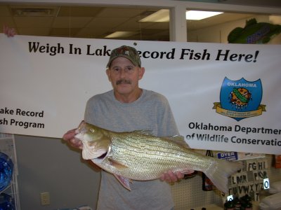 Lake Hefner striped bass hybrid