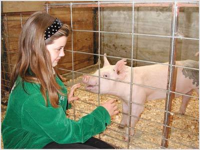Creek County Fair Opens Thursday In Kellyville Archive Tulsaworld Com
