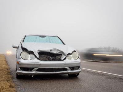 Deer hit by an automobile crossing highway 51