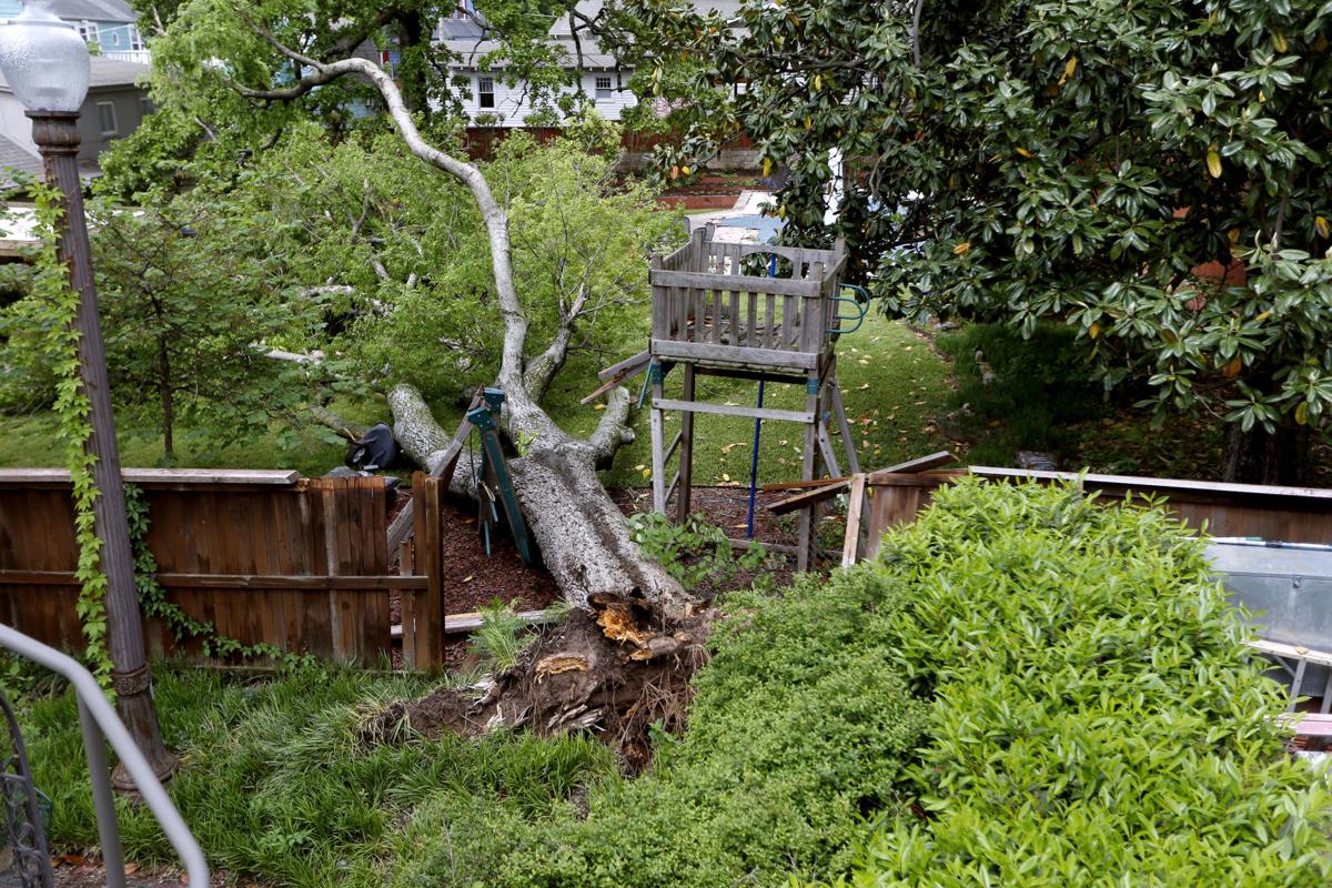 Q And A For Homeowners Dealing With Trees Downed By Storms Local News Tulsaworld Com