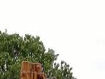 Holiday Weekend Lake Goers Urged To Check Water Quality Local News Tulsaworld Com