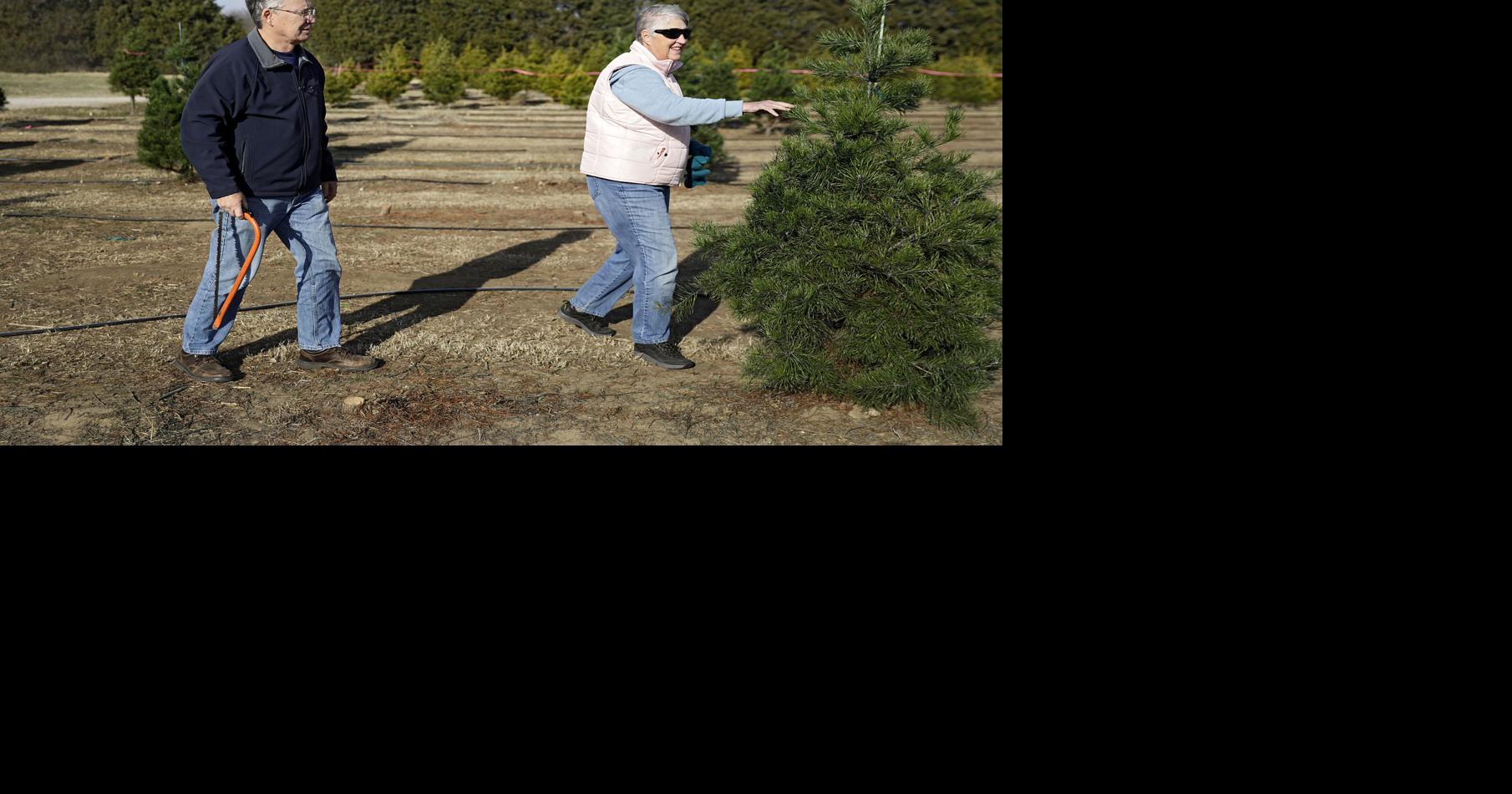 Owasso Christmas tree farm sees minimal impact from national tree shortage