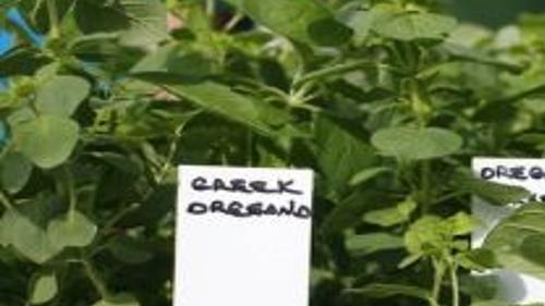 Jenks Herb Festival 2022