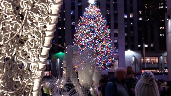 Famous Rockefeller Christmas Tree Wasn T The First Public Christmas Tree In Nyc National News Tulsaworld Com