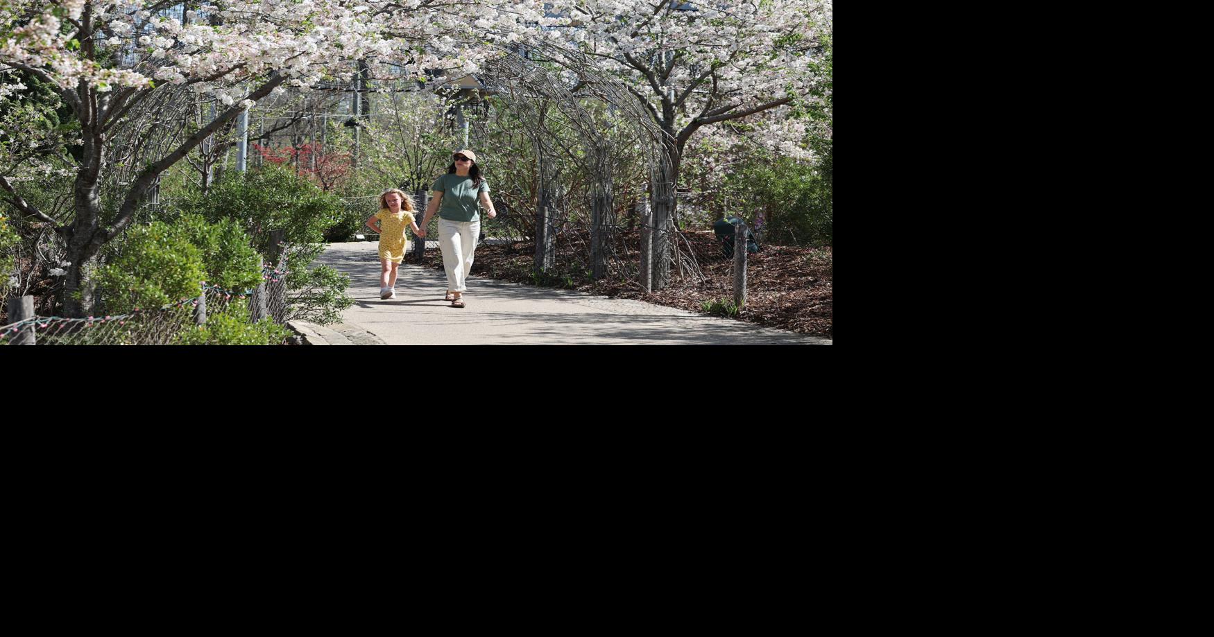 Photos: Spring-blooming flowers around Tulsa