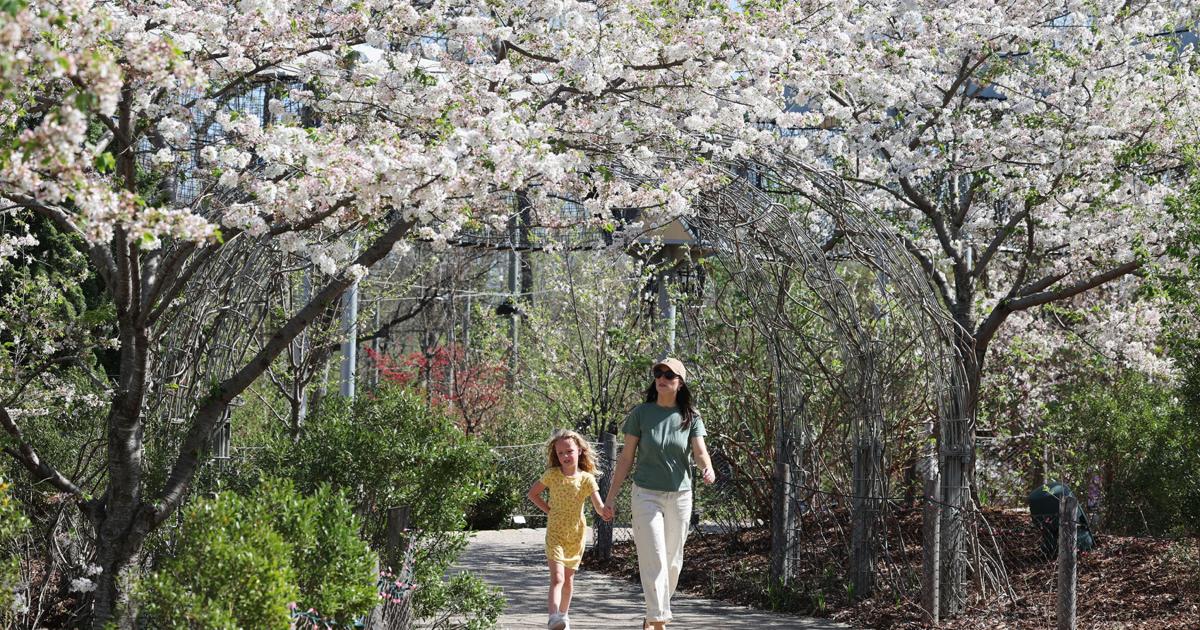 Springtime Tulsa Event Photos: Spring-blooming flowers around Tulsa