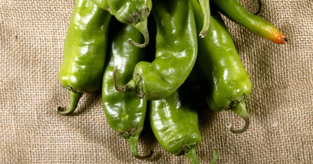 Noticias gastronómicas: Resor trae de vuelta Hatch Chili Feast; Melocotón diario de Boston | come la comida Noticias gastronómicas: Resor trae de vuelta Hatch Chili Feast; Melocotón diario de Boston | come la comida